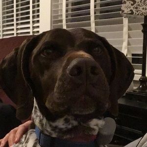 Meet your Posher, Grace